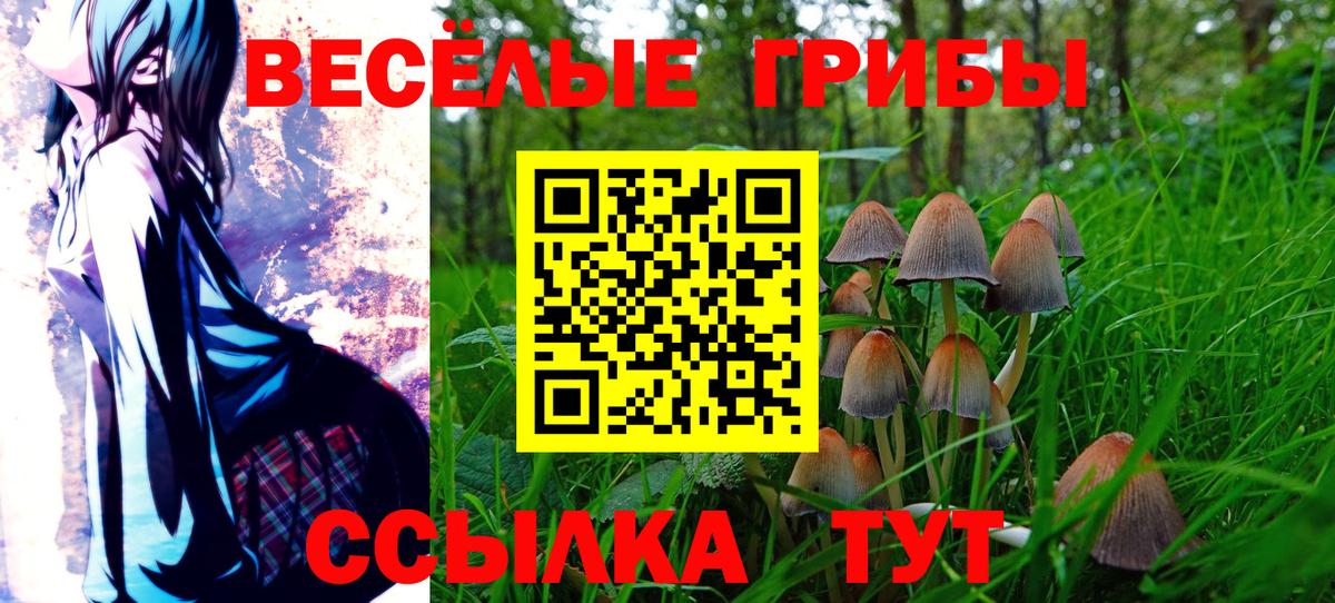 Мегион  Псилоцибиновые грибы Cubensis  Вход с VPN 