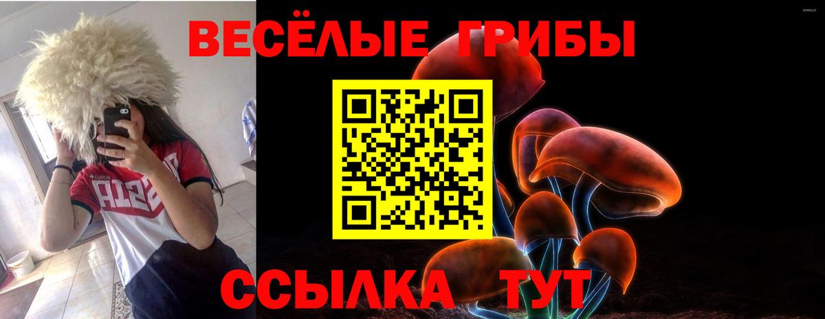 Галлюциногенные грибы ЛСД Мегион